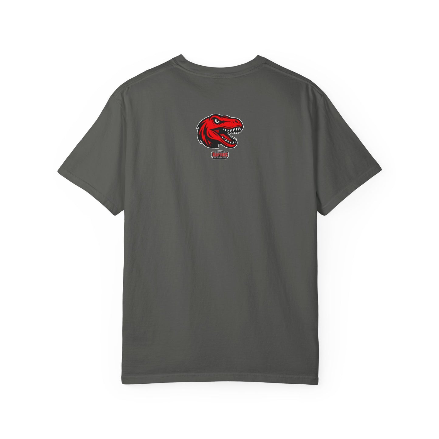 Michigan Raptors Vintage Dinosaur T‑Shirt