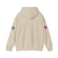 Michigan Raptors Arena Football Hoodie — Vintage Raptor Logo, USA Flag Sleeve