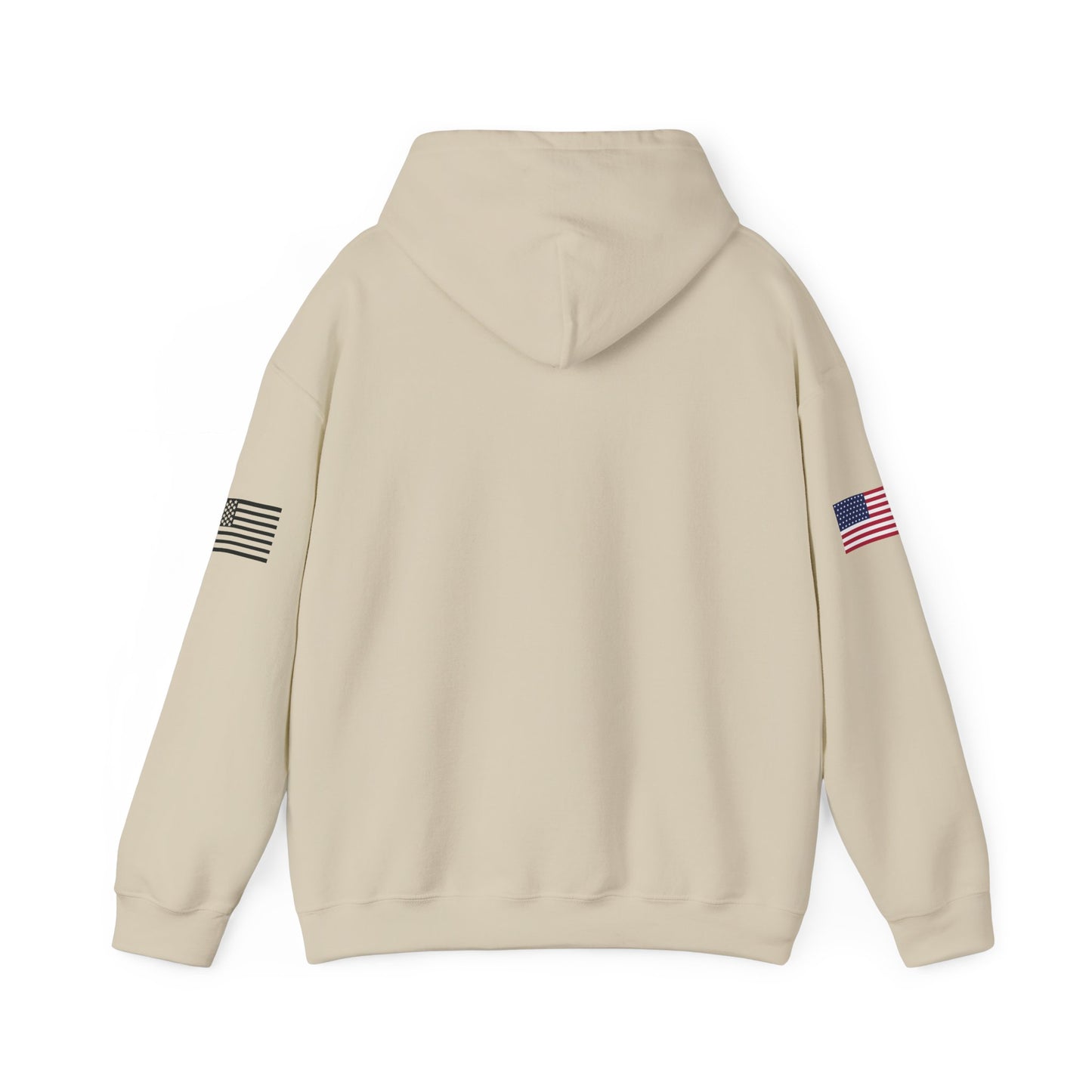 Michigan Raptors Arena Football Hoodie — Vintage Raptor Logo, USA Flag Sleeve