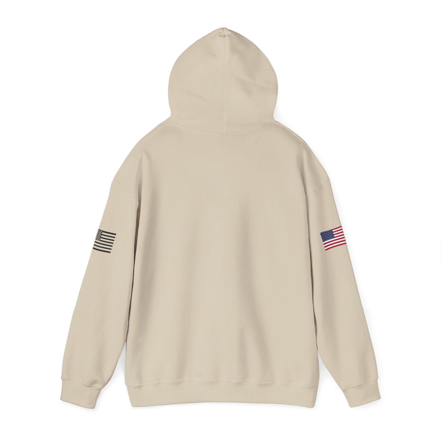 Michigan Raptors Arena Football Hoodie — Vintage Raptor Logo, USA Flag Sleeve