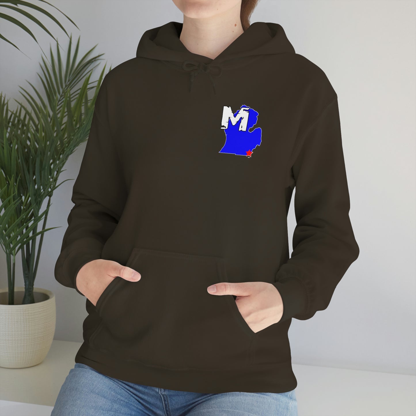 Monroe, MI Flag Hoodie