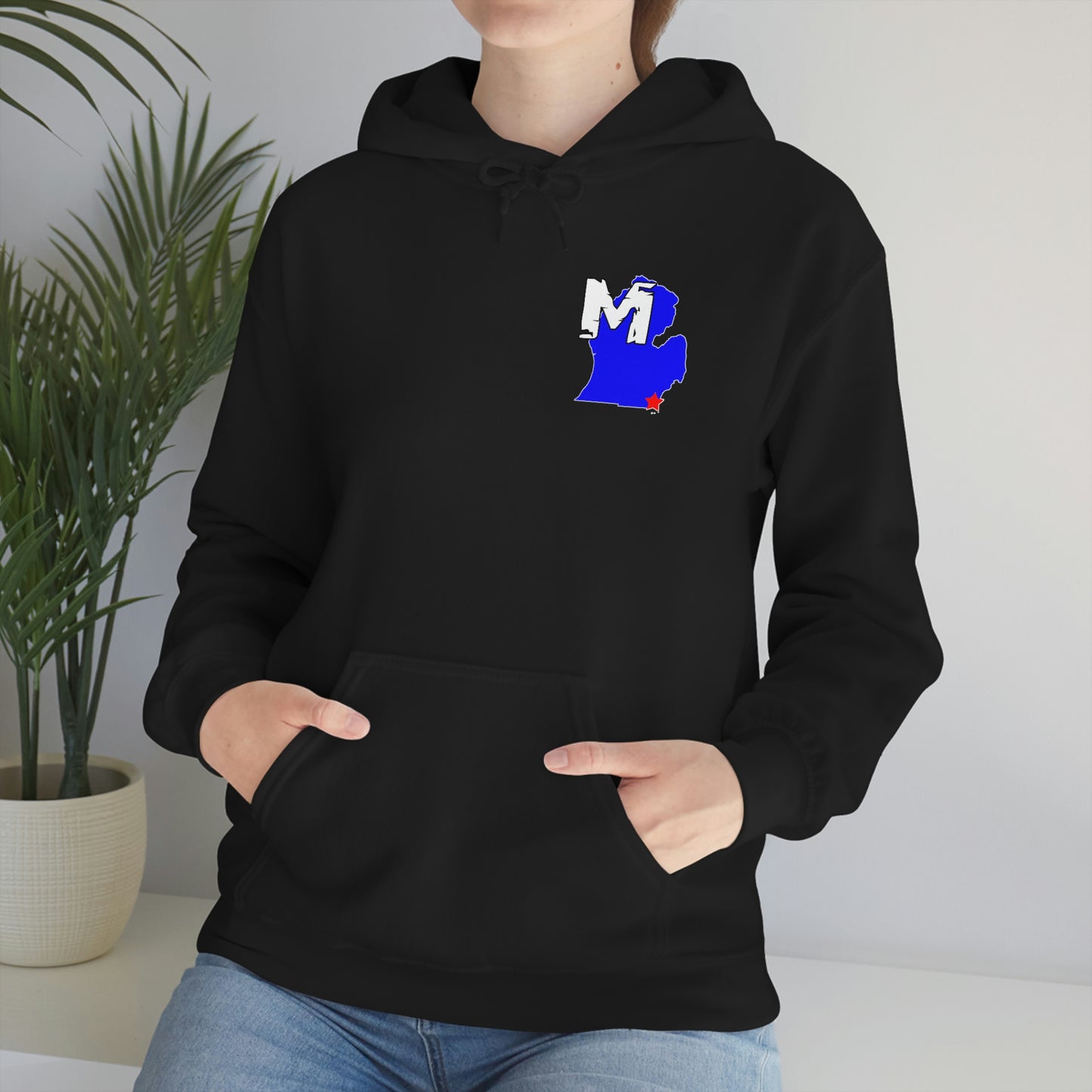 Monroe, MI Flag Hoodie