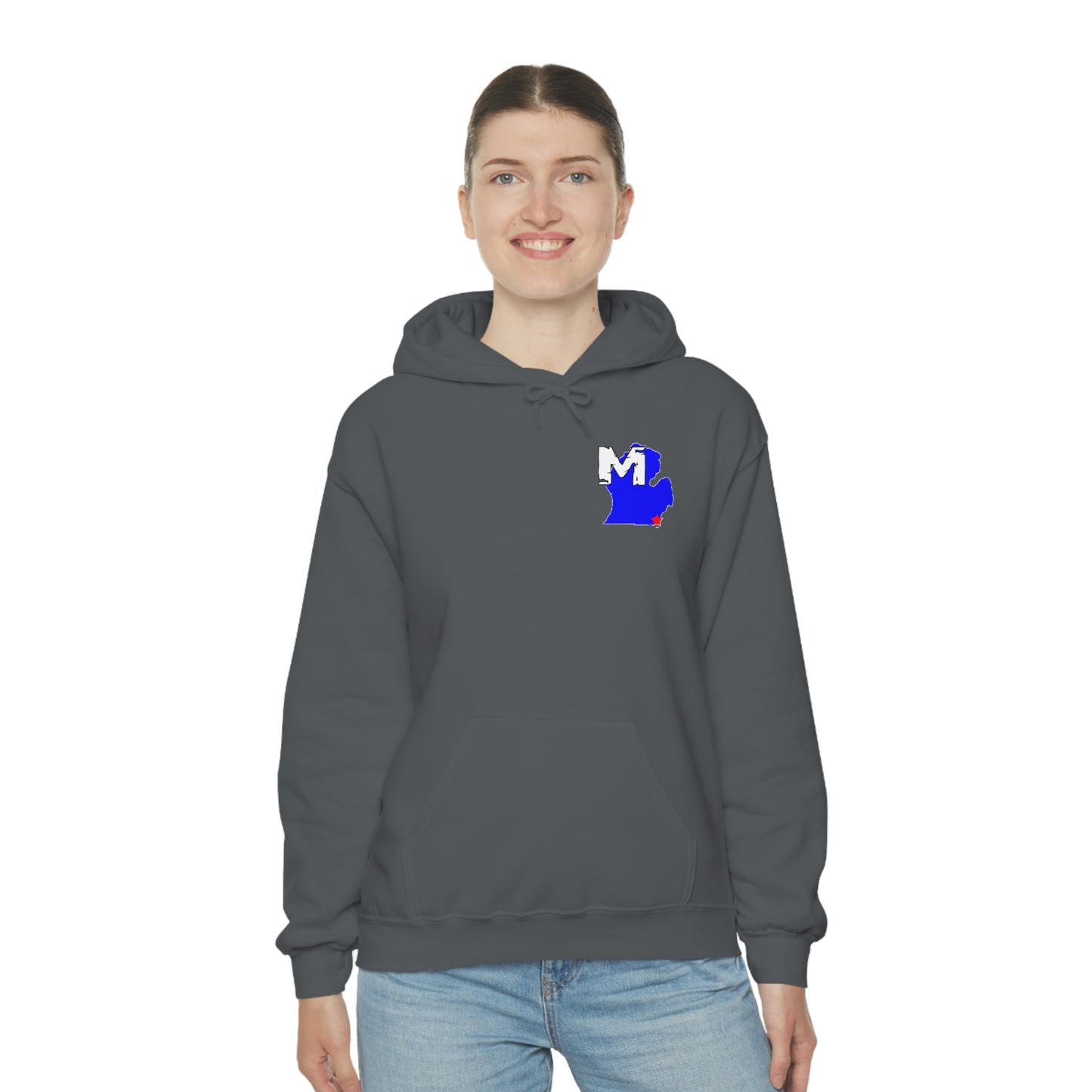 Monroe, MI Flag Hoodie