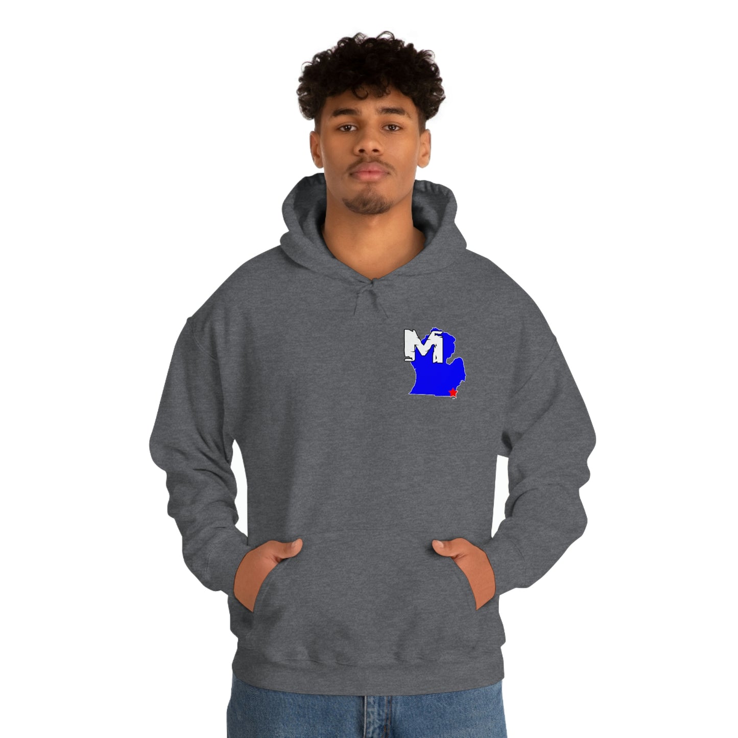 Monroe, MI Flag Hoodie