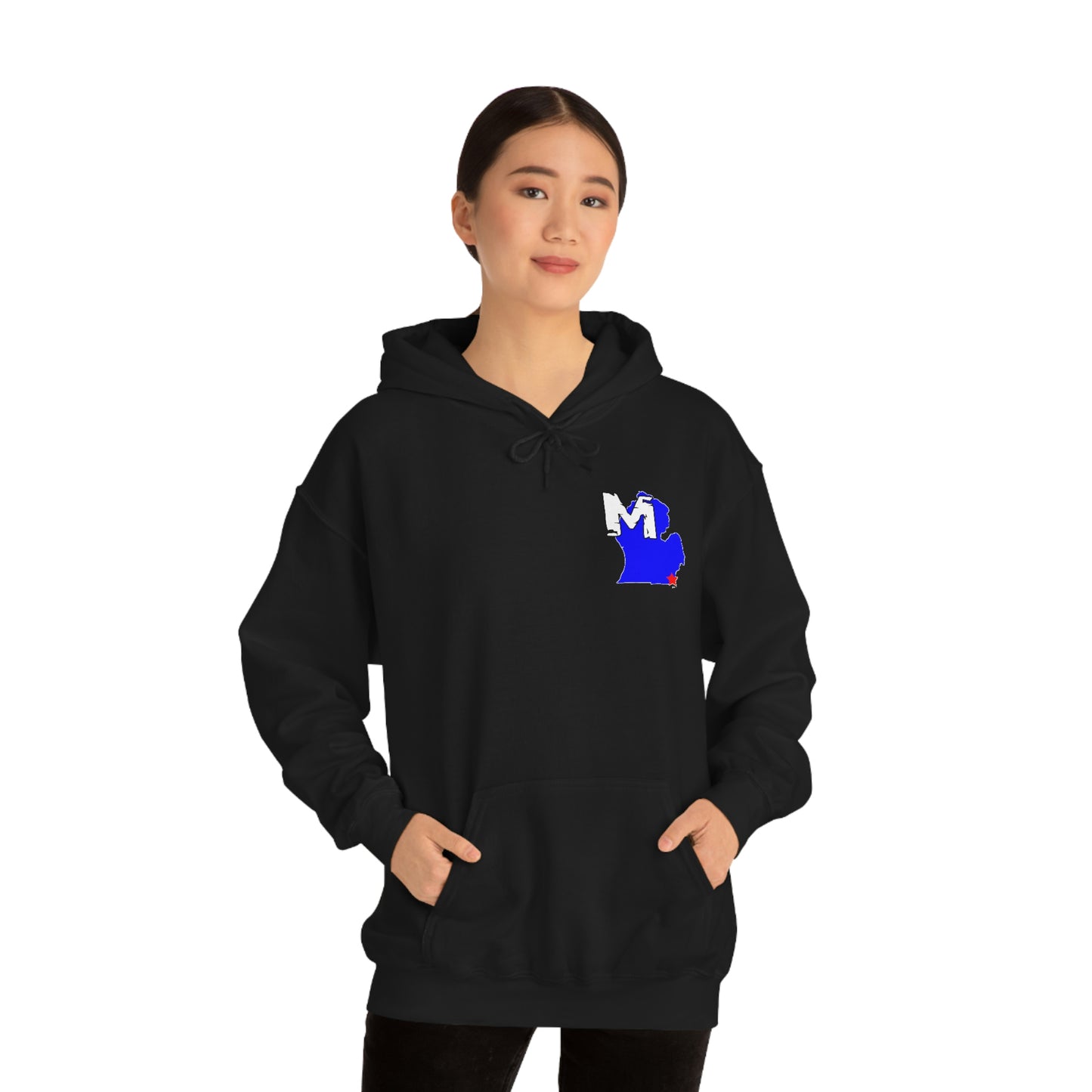 Monroe, MI Flag Hoodie