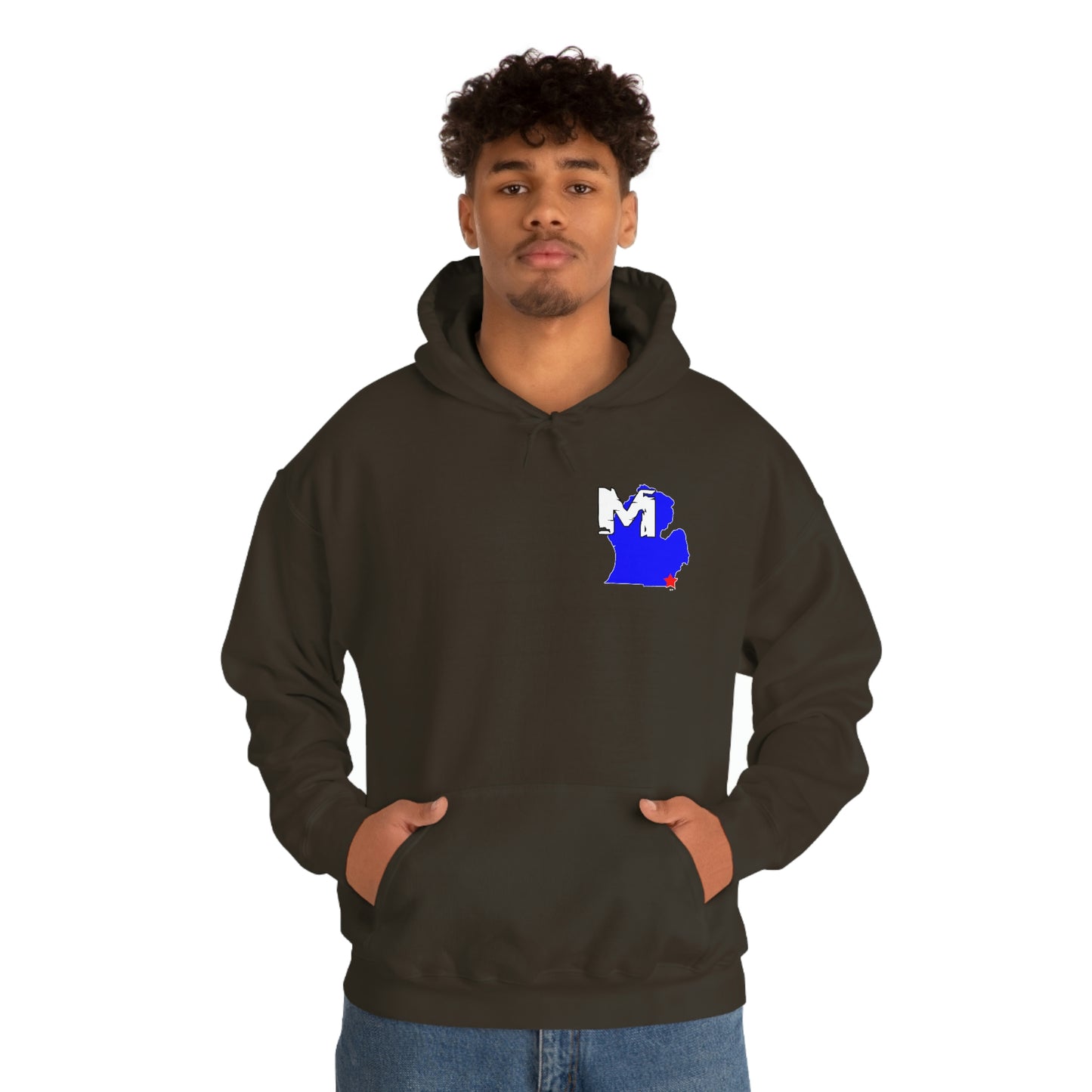 Monroe, MI Flag Hoodie