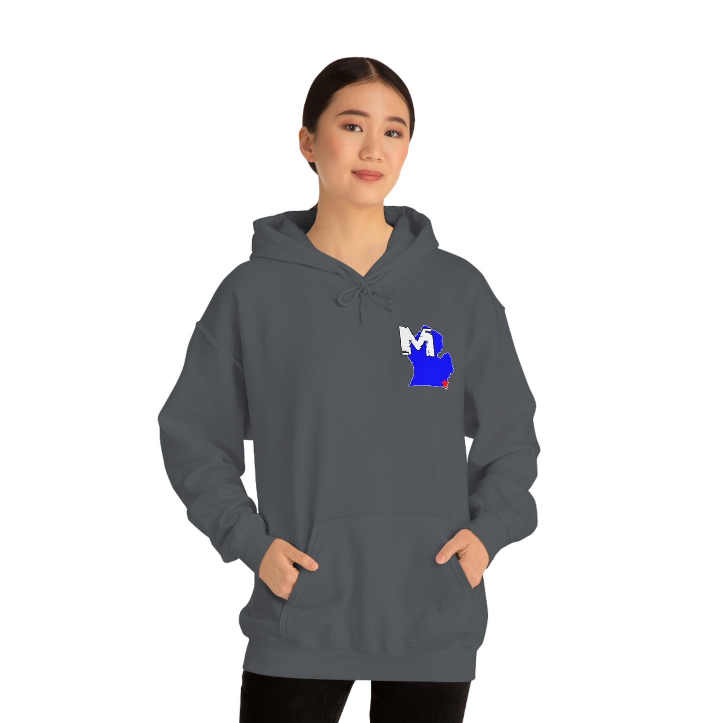 Monroe, MI Flag Hoodie