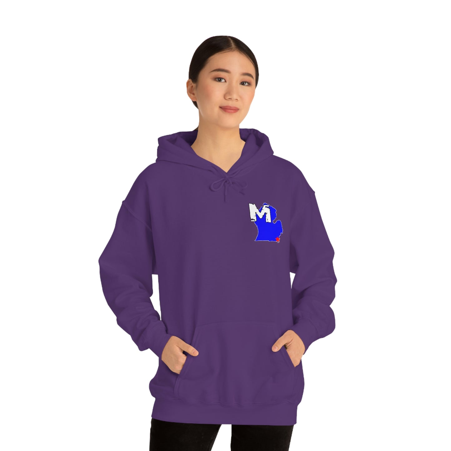 Monroe, MI Flag Hoodie