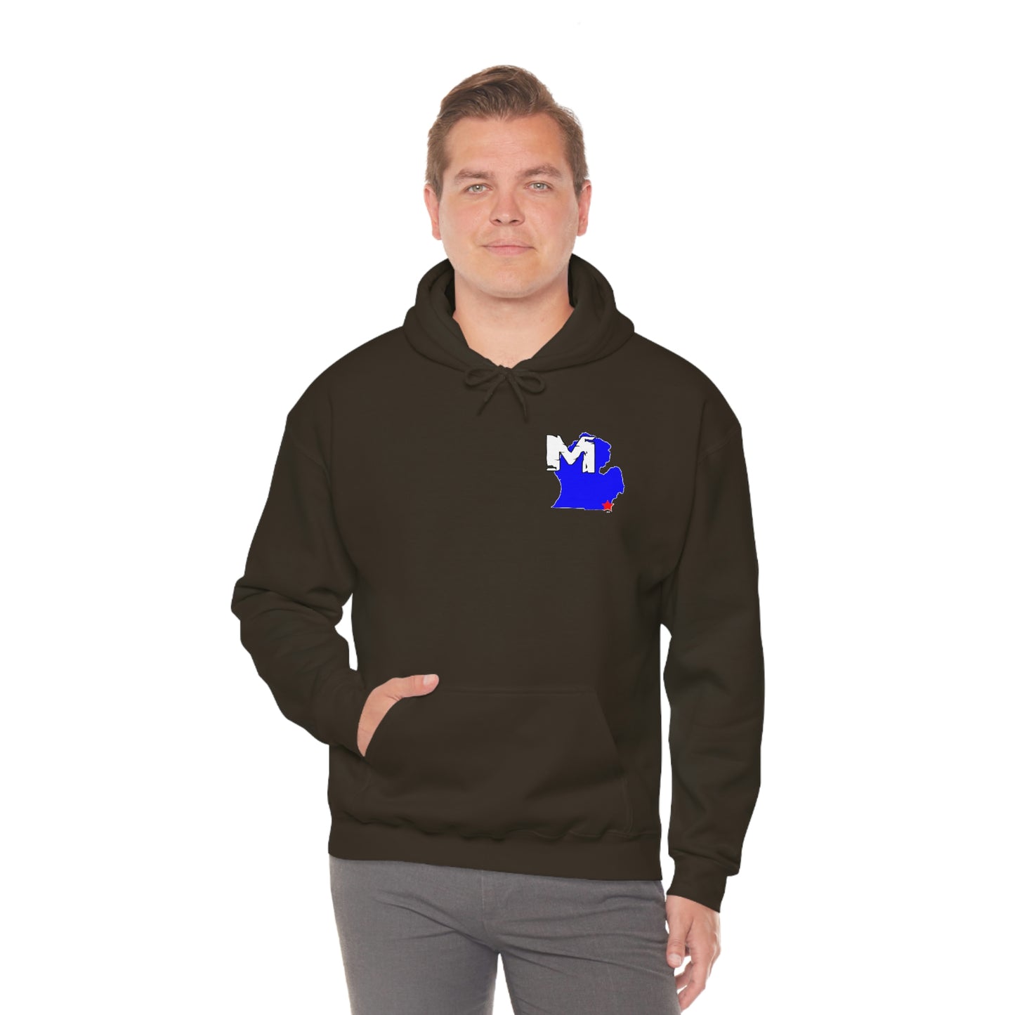 Monroe, MI Flag Hoodie