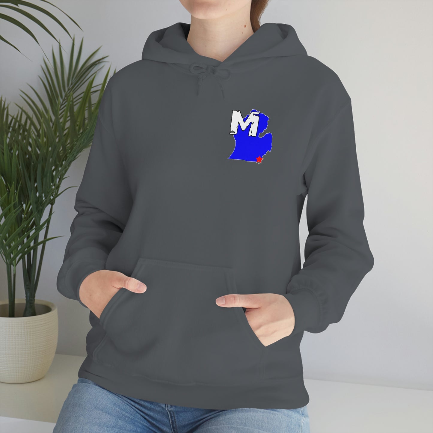 Monroe, MI Flag Hoodie