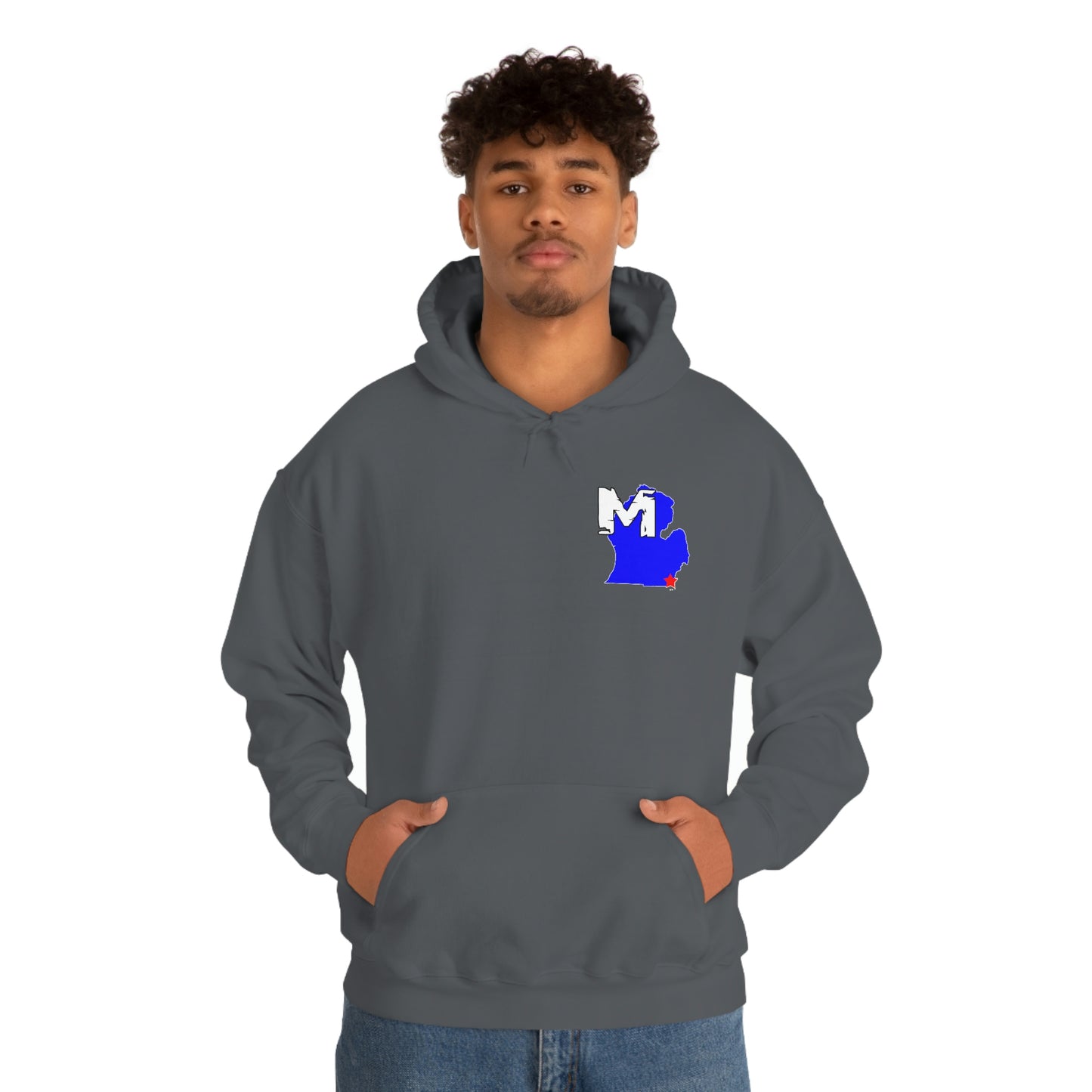 Monroe, MI Flag Hoodie