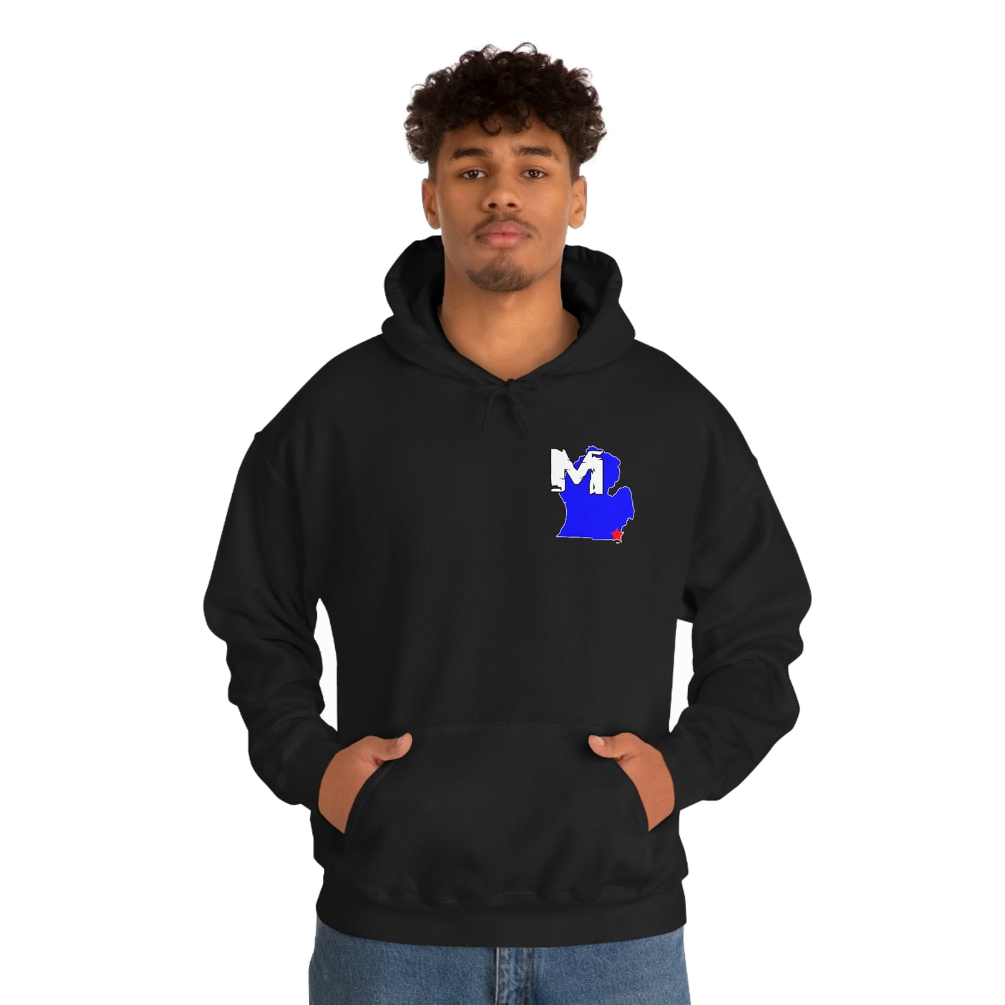 Monroe, MI Flag Hoodie