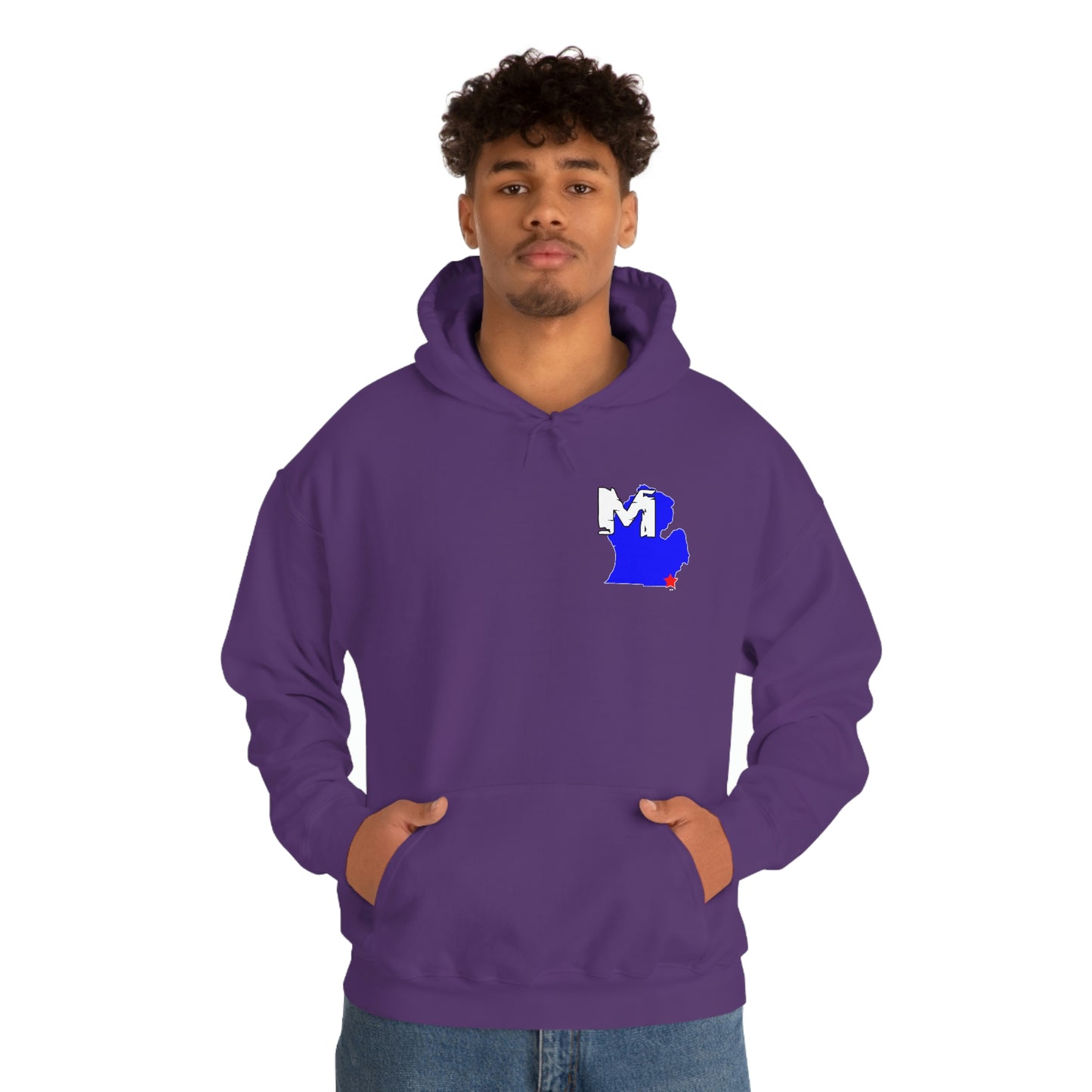 Monroe, MI Flag Hoodie