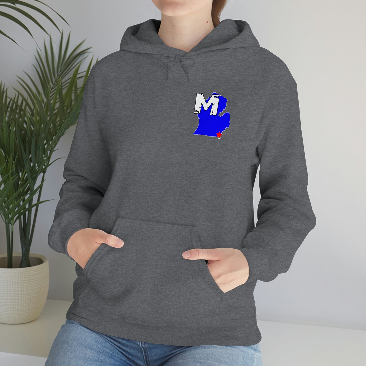 Monroe, MI Flag Hoodie